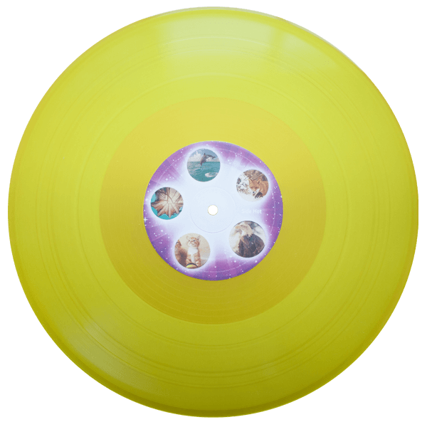 Hot Rod - OST Vinyl (Dong Yellow) – Era Records